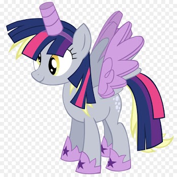 Twilight Sparkle Derpy Hooves Rarity Pony Pinkie Pie - costume vector 