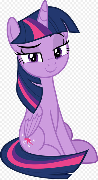 Twilight Sparkle Pony Applejack Rarity Pinkie Pie - enchanted rock texas 