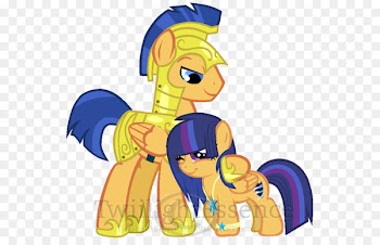 Twilight Sparkle Pony Princess Cadance Flash Sentry Equestria - color little prince 