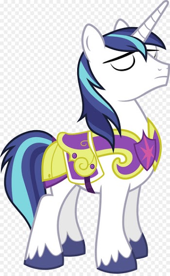 Twilight Sparkle Princess Cadance Rainbow Dash Spike Shining Armor - shinning 