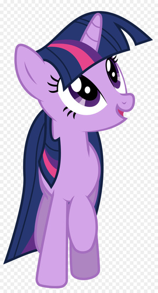 Twilight Sparkle Rainbow Dash Applejack DeviantArt Film - twilight 