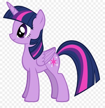 Twilight Sparkle Rainbow Dash My Little Pony Color - twilight 