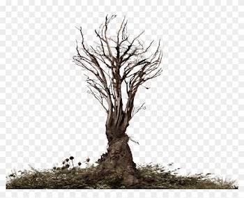 Twisted Scary Tree Stock Photo Png Distort 2 By Annamae22 - Dead Trees Png