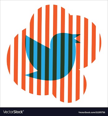 Twitter bird on a background vector image
