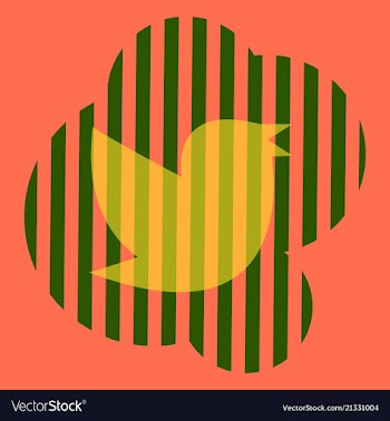 Twitter bird on a background vector image