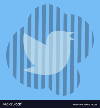 Twitter bird on a background vector image