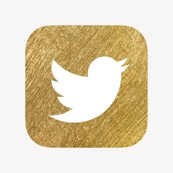 Twitter icon for social media | Free Icons - rawpixel