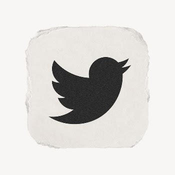 Twitter icon for social media | Free Icons - rawpixel