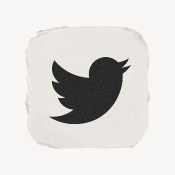 Twitter icon for social media | Free Icons - rawpixel