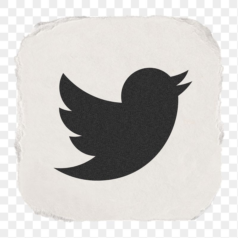 Twitter icon for social media | Free Icons - rawpixel