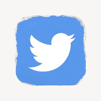 Twitter icon for social media | Free Icons - rawpixel