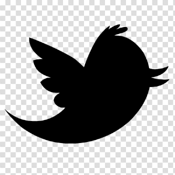 Twitter Transparent Euclidean Vector Logo Bird Icon