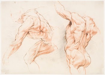 Two anatomical studies of a man | Free Photo - rawpixel