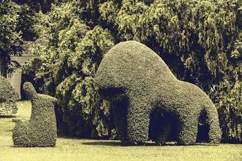 Two Animal Topiary on Garden