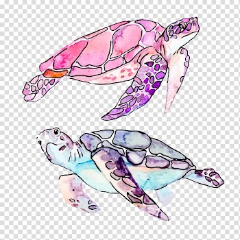 Two assorted-color turtle illustrations, Sea turtle Cartoon Illustration, Drawing Turtle transparent background PNG clipart