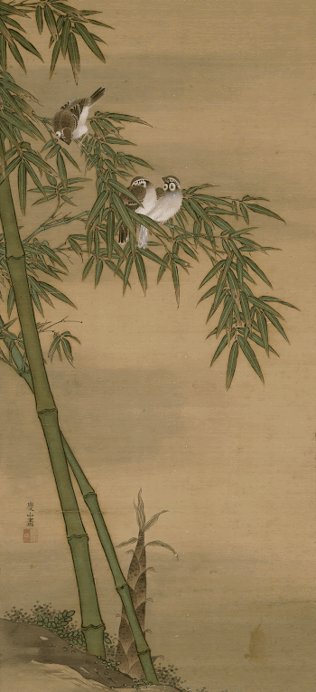 two bamboo stalks rising along | Free Photo - rawpixel