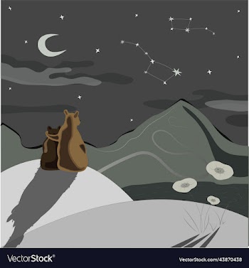 two bears sit in a clearing and look at the star