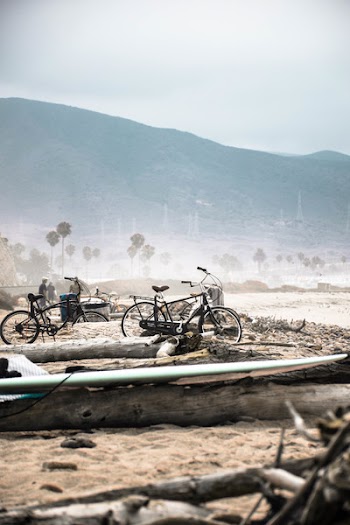 Two Bicycle Parked Beside Log Near Shore