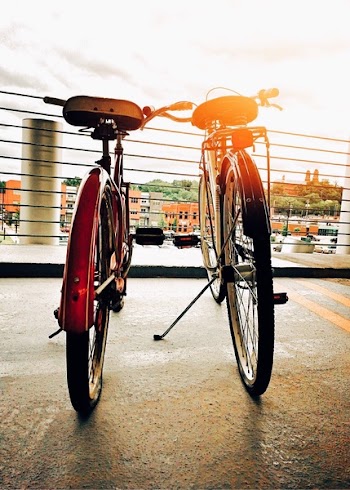 Two Bicycles Parked Upright