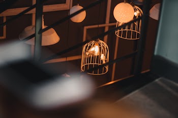 Two Birds Inside Birdcage