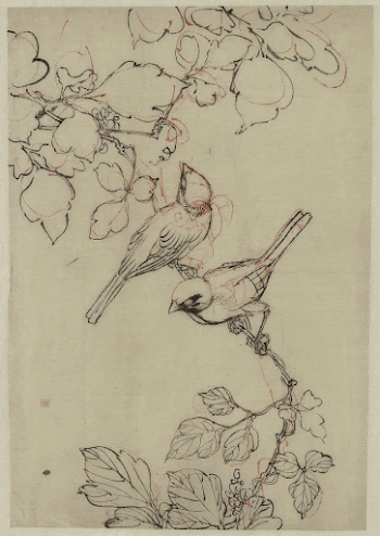 [Two birds perched on grapevines]. | Free Photo - rawpixel