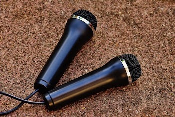 Two Black Dynamic Microphones