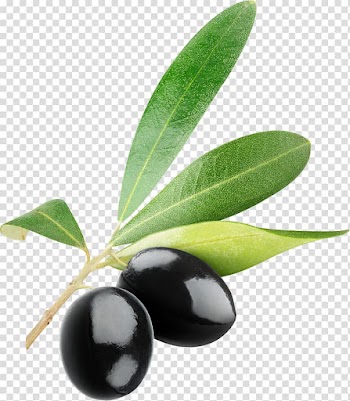 Two black fruits, Olive Icon , Black olives transparent background PNG clipart