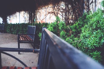 Two Black Metal Arm Benches Near Green Plants