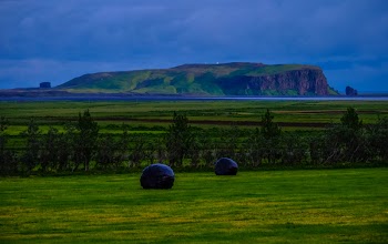 Two Black Rocks Near Green Trees and Hill