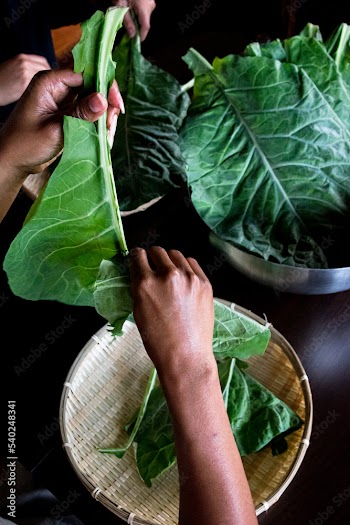 Two Black women stripping half of a collard green leaf