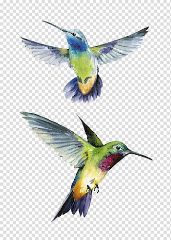 Two blue and green hummingbirds, Art Painting Floral design AllPosters.com, audit transparent background PNG clipart