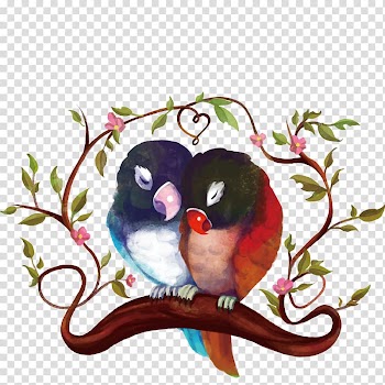 Two blue and red birds on branch digital art, Bird Parrot Watercolor painting , Watercolor birds transparent background PNG clipart