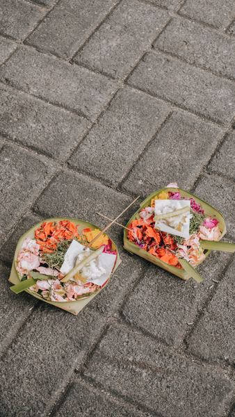 two boxes of petaled flowers on grey concrete blocks