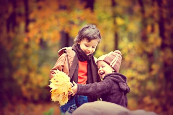 Two Boys Wearing Jacket Holding Yellow Maple Leaves