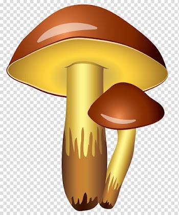 Two brown-and-maroon mushrooms illustration, Mushroom Icon , Mushrooms transparent background PNG clipart