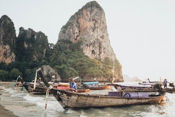 Two Brown Boats
