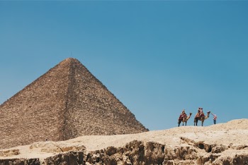 Two Brown Camel Near Brown Pyramid