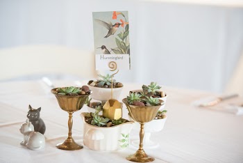 Two Brown Metal Goblets on White Surface
