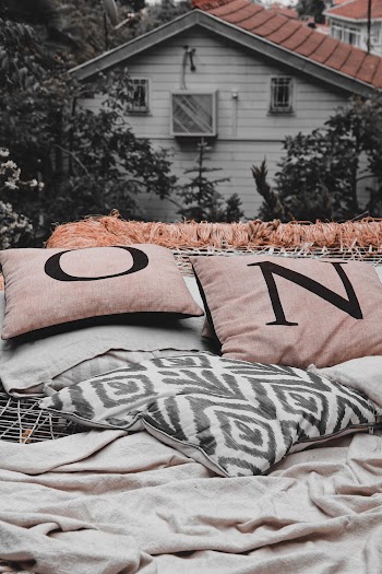 Two Brown Throw Pillows