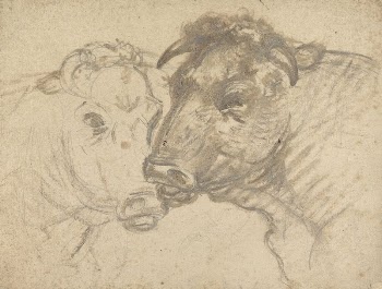 Two Bulls | Free Photo - rawpixel