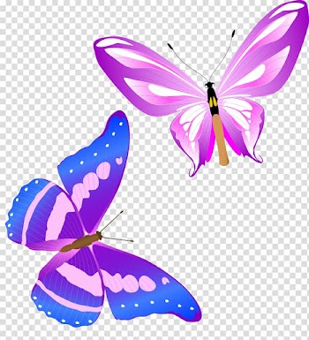 Two butterflies illustration, Monarch butterfly Insect , Fun Colorful butterfly beautiful animal transparent background PNG clipart