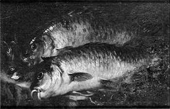 Two Carps on a Kitchen | Free Photo - rawpixel