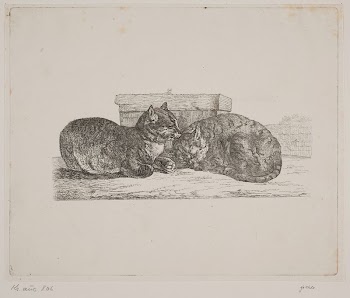 Two catsReviewed by contributorsThis translation | Free Photo - rawpixel