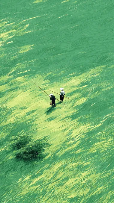 Two Chinese Farmers in a Lush Wheat Field Two Chinese Farmers in a Lush Wheat Field