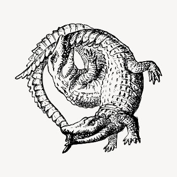 Two crocodiles clipart, vintage hand | Free Vector - rawpixel
