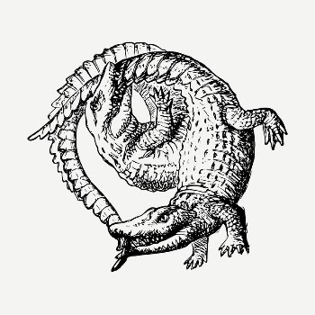 Two crocodiles drawing, vintage illustration | Free PSD - rawpixel