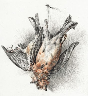 Two dead birds (1823) drawing in high… | Free public domain illustration
