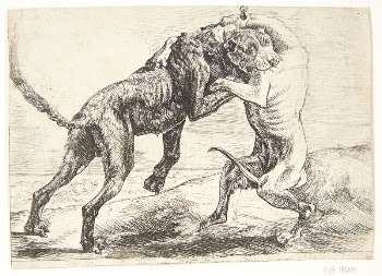 Two dogs fighting | Free Photo - rawpixel