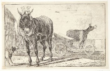 Two donkeys | Free Photo - rawpixel
