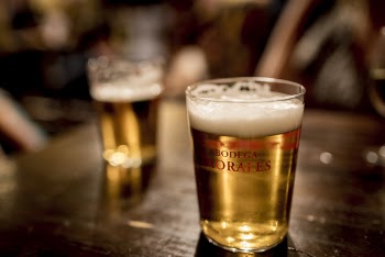 Two Drinking Glass With Beer on Brown Table